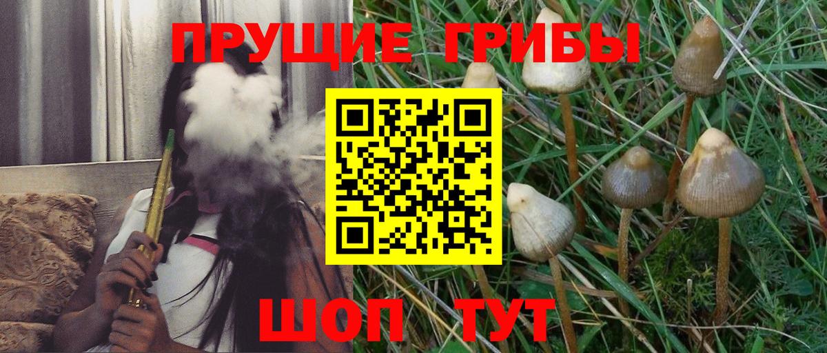 Псилоцибиновые грибы мухоморы  Вход с VPN  Горно-Алтайск 